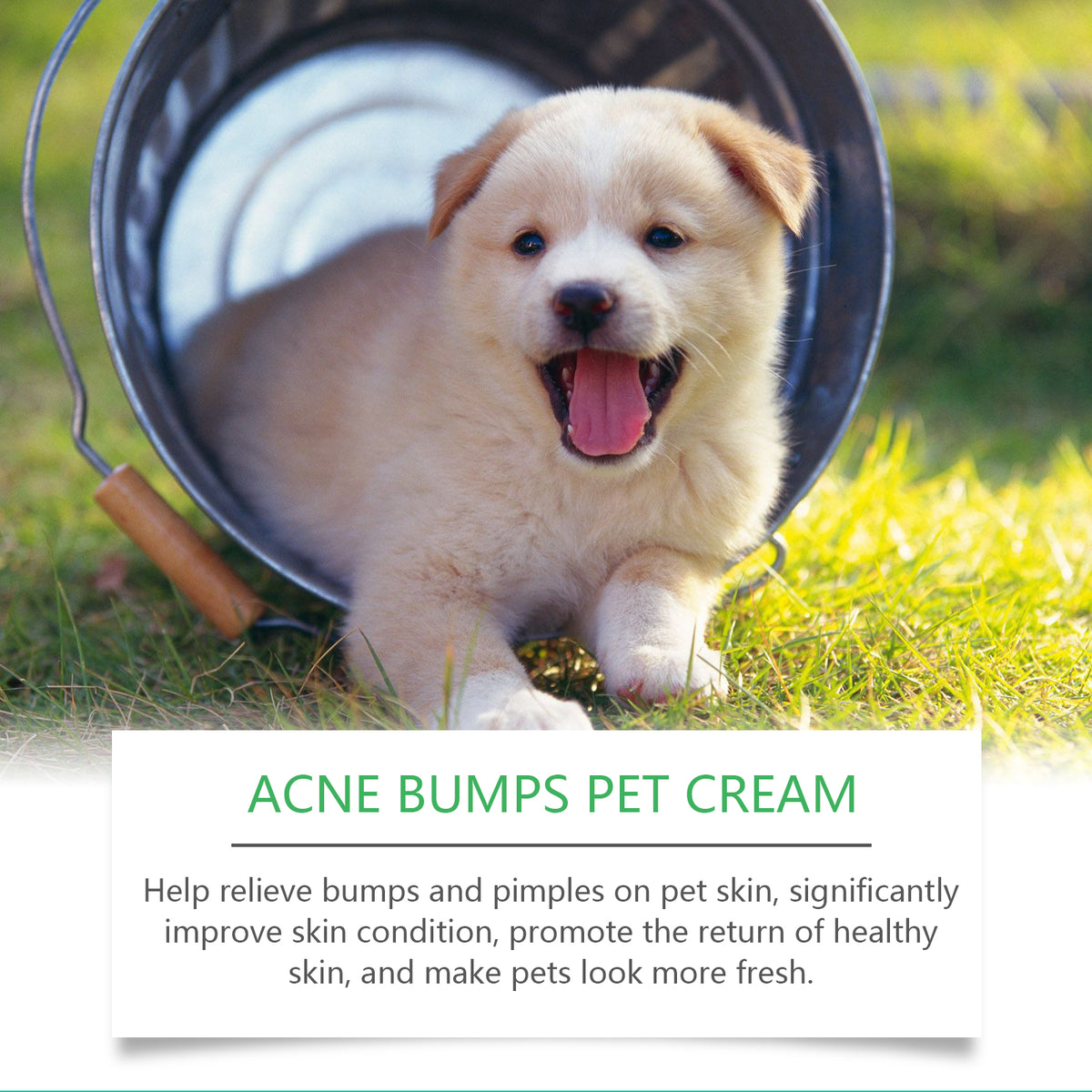 Vetsuno SkinRepair™ Care Cream