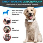 Vetsuno QuietPaws™ Dispositif anti-aboiement