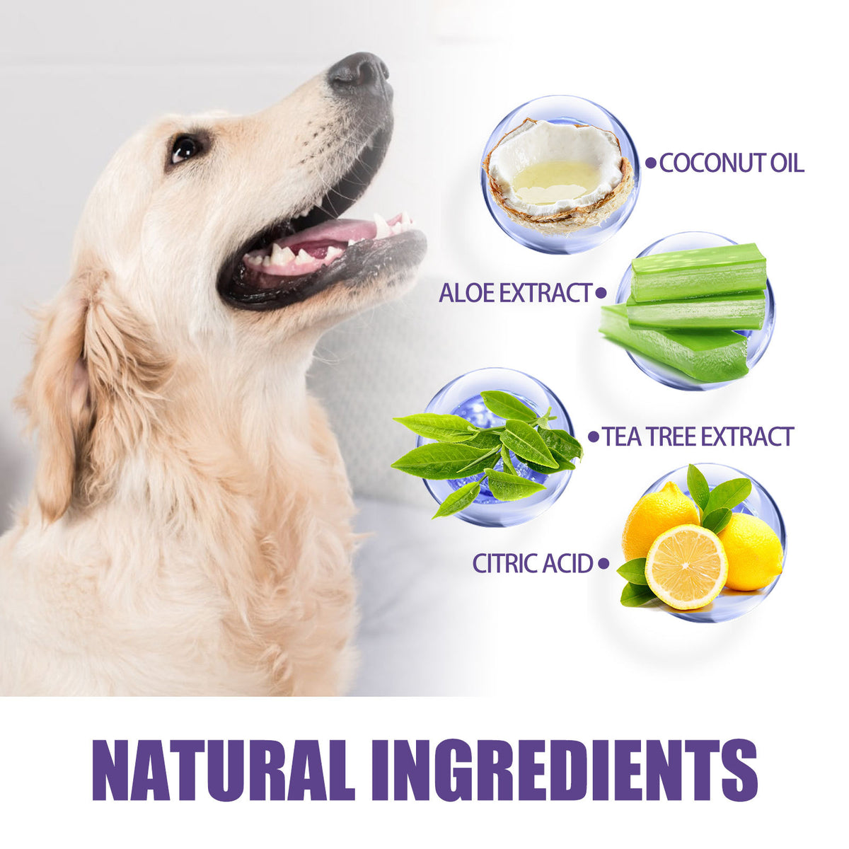 Vetsuno CleanPaws™ Lingettes dentaires