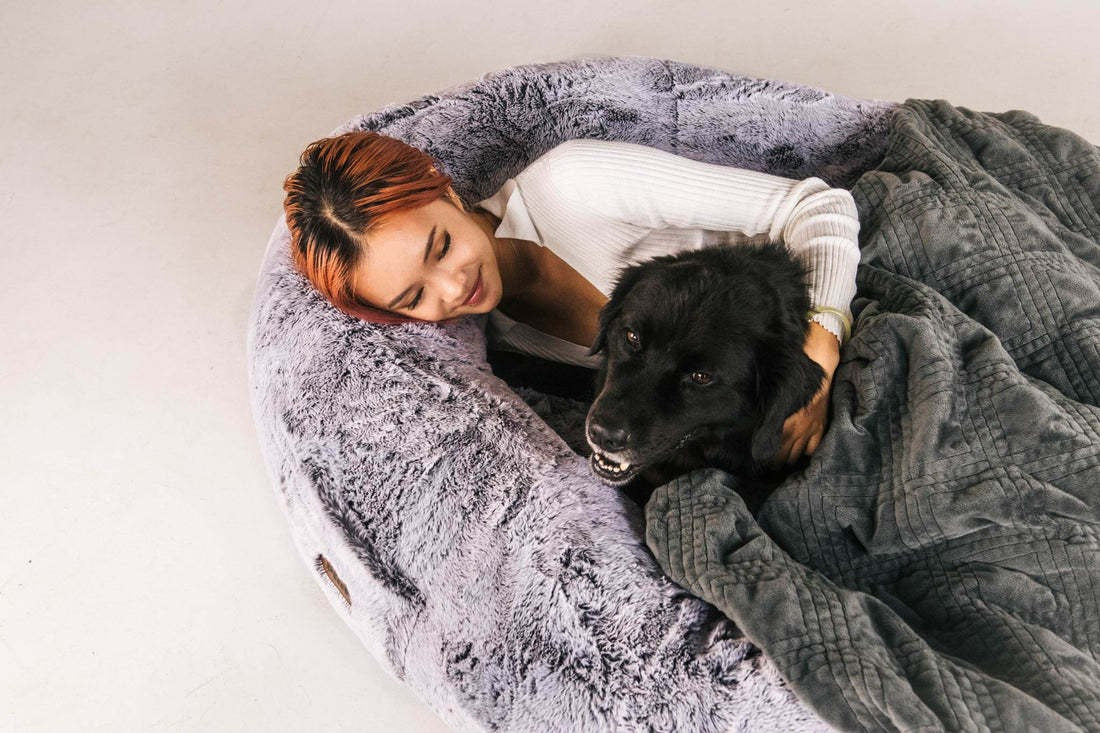 Vetsuno GrandNest™ Couchage XL pour chien