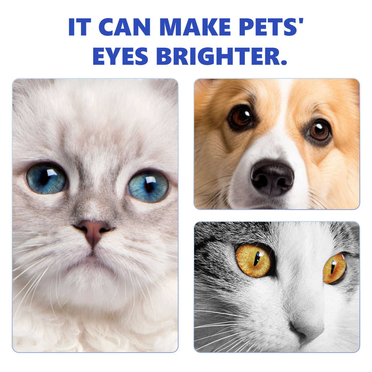 Vetsuno ClearEyes™ Pet Eye Wash