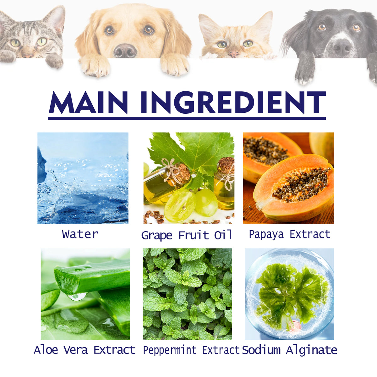 Vetsuno FreshBite™ Pet Toothpaste