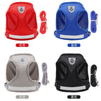Vetsuno EasyStep™ Harnais poitrine + laisse