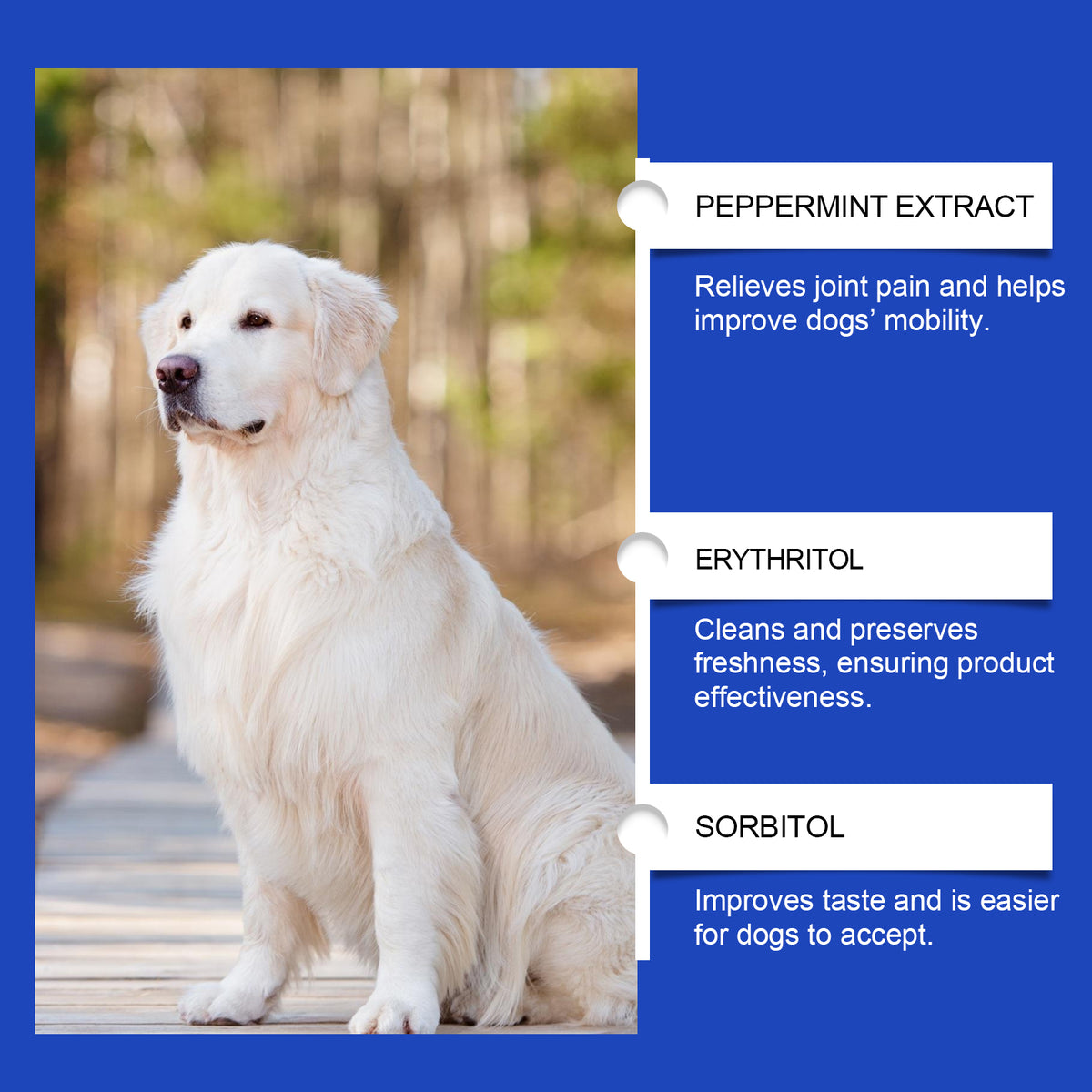 Vetsuno FlexJoint™ Joint Supplement